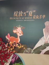 -丰联丽格医疗美容·联合丽格眼整形中心