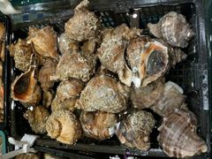 -雅盛品931海鲜酒家