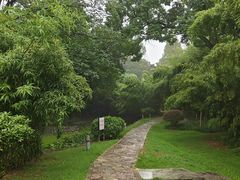 -菊花台公园