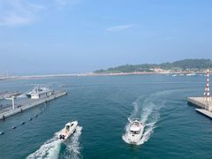 -小麦岛公园