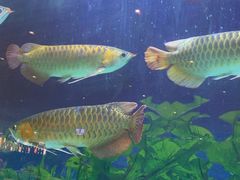 -弘安丽水温泉酒店