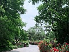 -蓬莱阁景区