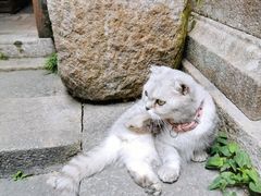 -老屋咖啡