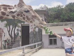 -贵州森林野生动物园