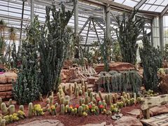 -南通洲际绿博园