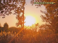 -昆山城市生态森林公园