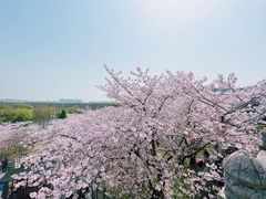 -苏州上方山国家森林公园