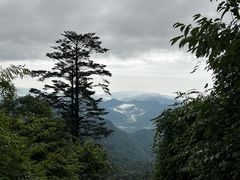 -峨眉山风景名胜区