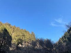 -佛慧山