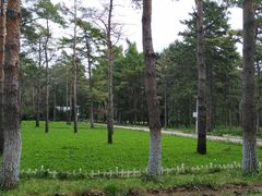 -黑龙江省森林植物园