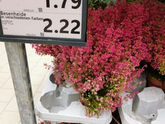-Kaufland Aachen, Vaalser Str.
