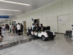 -首都医科大学附属北京天坛医院