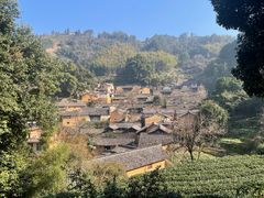 -杨家堂村