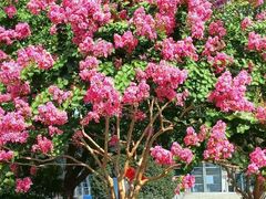 -杭州城北体育公园