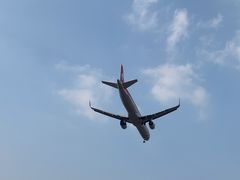 -空港花田景区
