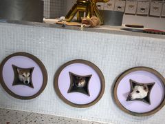 -柴务处·柴犬主题狗咖