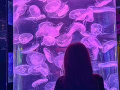 -左海海底世界