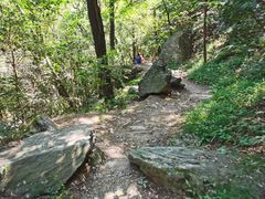 -国家植物园南园