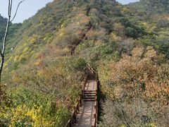 -大岭沟猕猴桃谷风景区