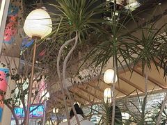 -桂满陇·海市蜃楼·黑金(国金店)