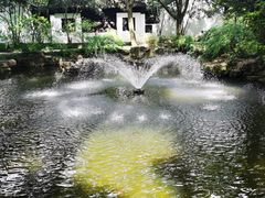 -上海醉白池公园