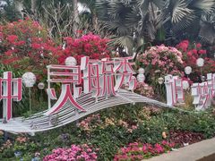 -莲花山公园