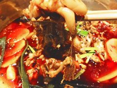 -宽口美蛙鱼头(大唐西市店)