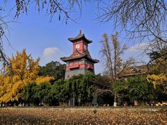 -四川大学(华西校区)