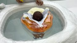 -宝生月子中心(独栋园林·福田店)
