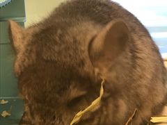 -龙猫仔乐园(惠福东路店)