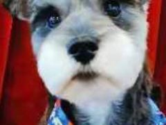 -喵汪宠物生活馆(涞坊路店)