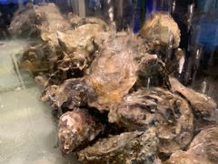 -珍宝轩海鲜火锅(碧湖大厦店)