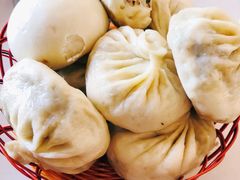 -牛背梁国家森林公园
