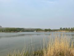-马家湾湿地公园