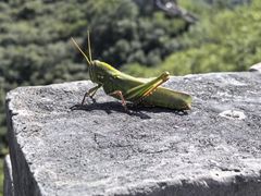 -前门(地铁站)