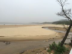 -普陀山风景名胜区-法雨禅寺