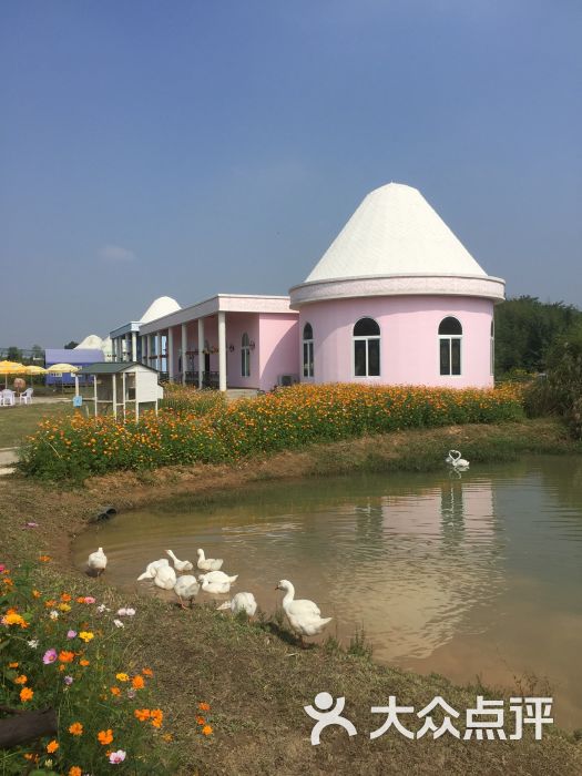 阿拉丁新疆伊犁风情园图片 - 第40张