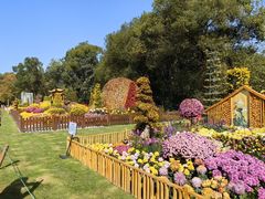 -上海共青森林公园