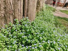 -前小桔亲子创意农场·草莓采摘·露营烧烤