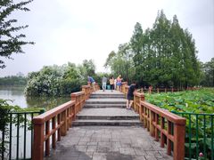 -黄兴公园