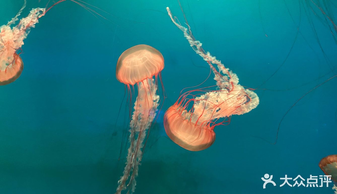 夜宿北京海洋馆