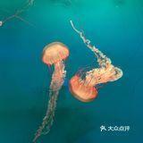 夜宿北京海洋馆