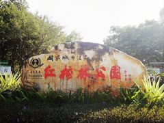 -大亚湾红树林城市湿地公园