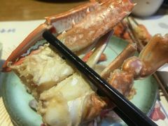 -海桐