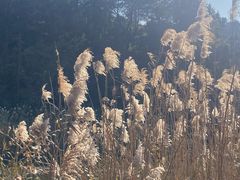 -南京市无想山景区