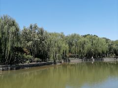 -康庄公园