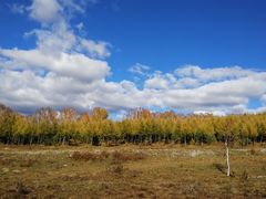 -塞罕坝国家级自然保护区