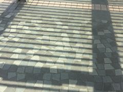 -香港科学馆