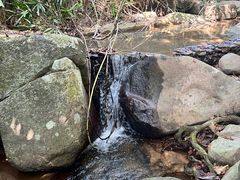 -呀诺达热带雨林