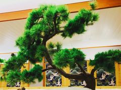 -汤泉良子(金源店)